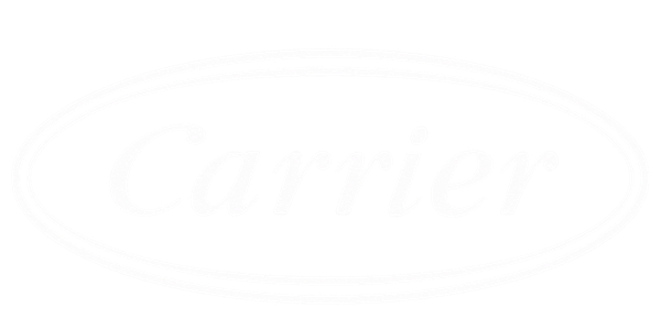 Carrier